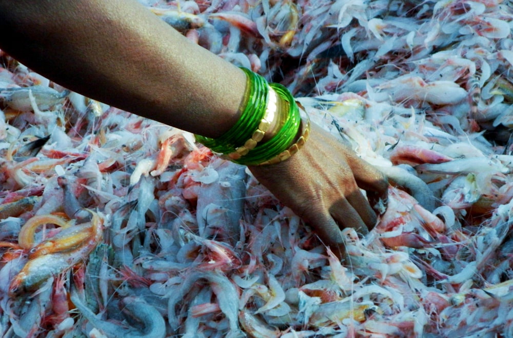 a person's hand reaching for a bunch of fish
