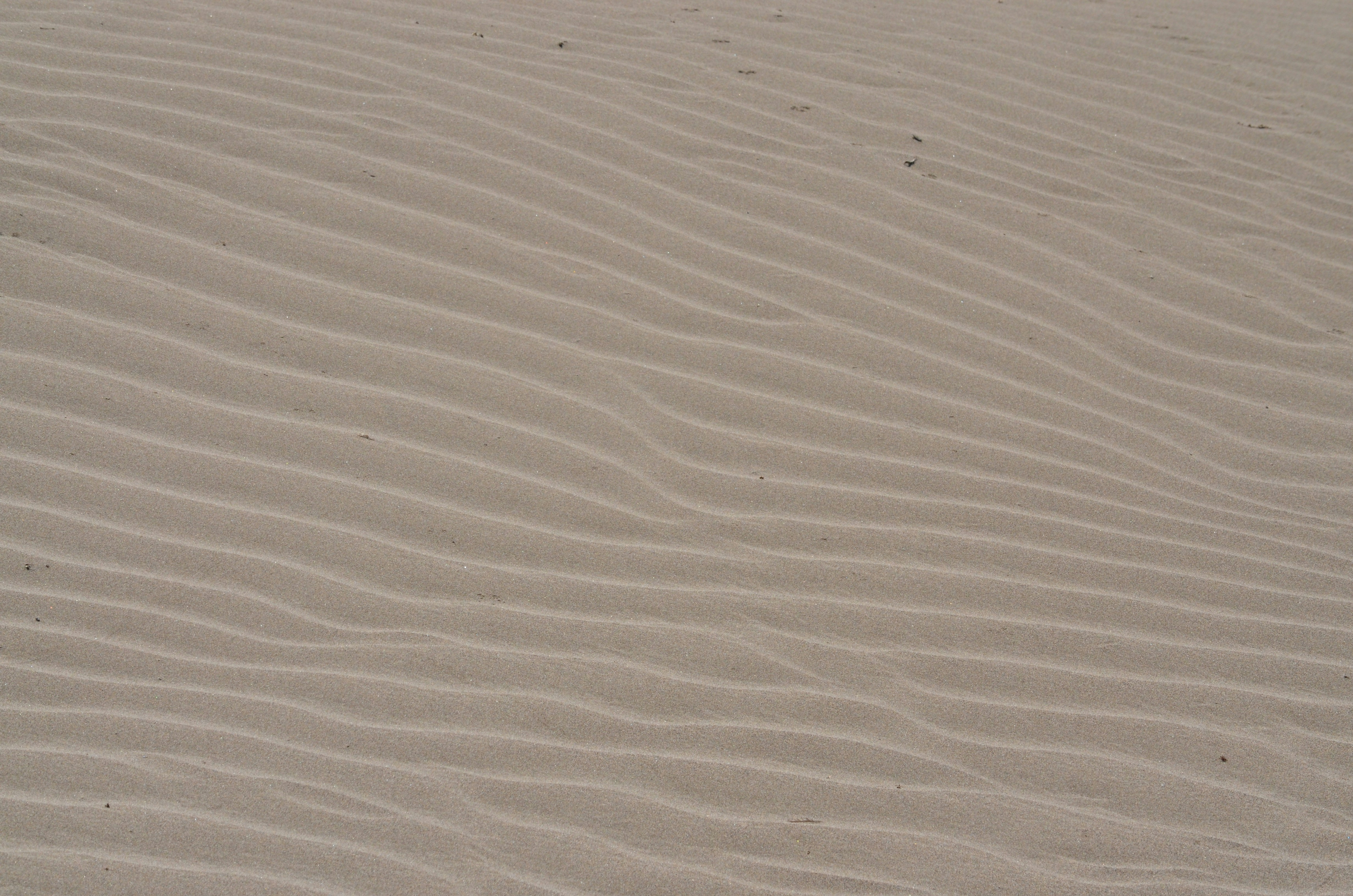 Photo by veronesi_fr