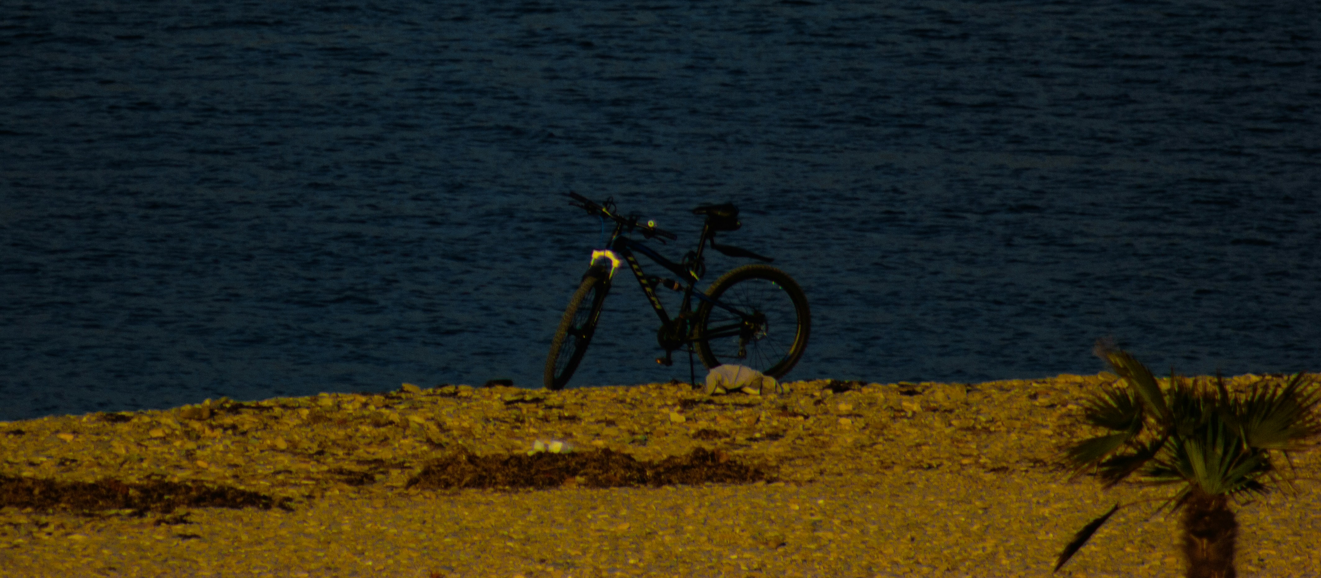 a bike is parked on the shore of a lake