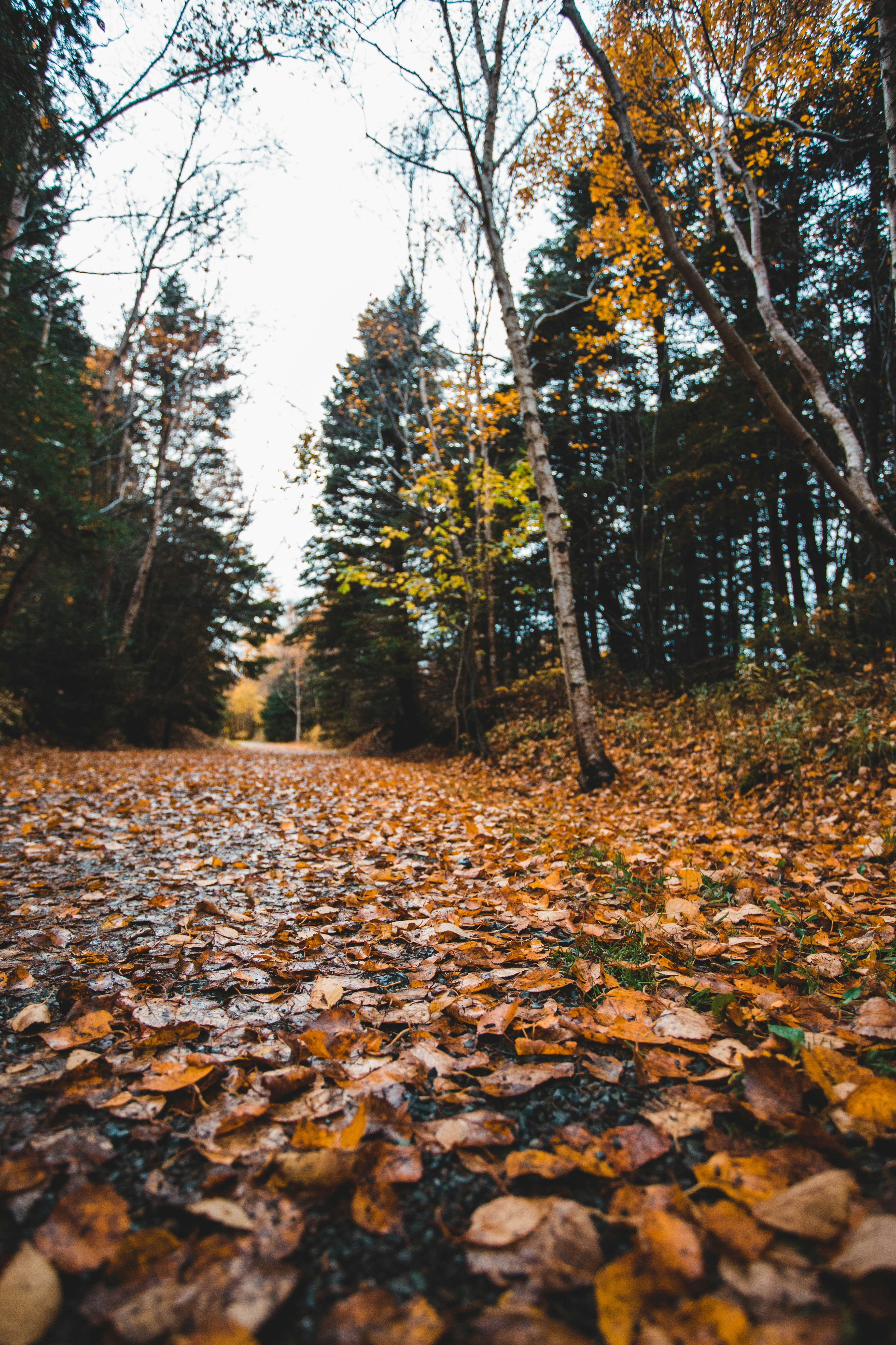 Photo by introspectivedsgn