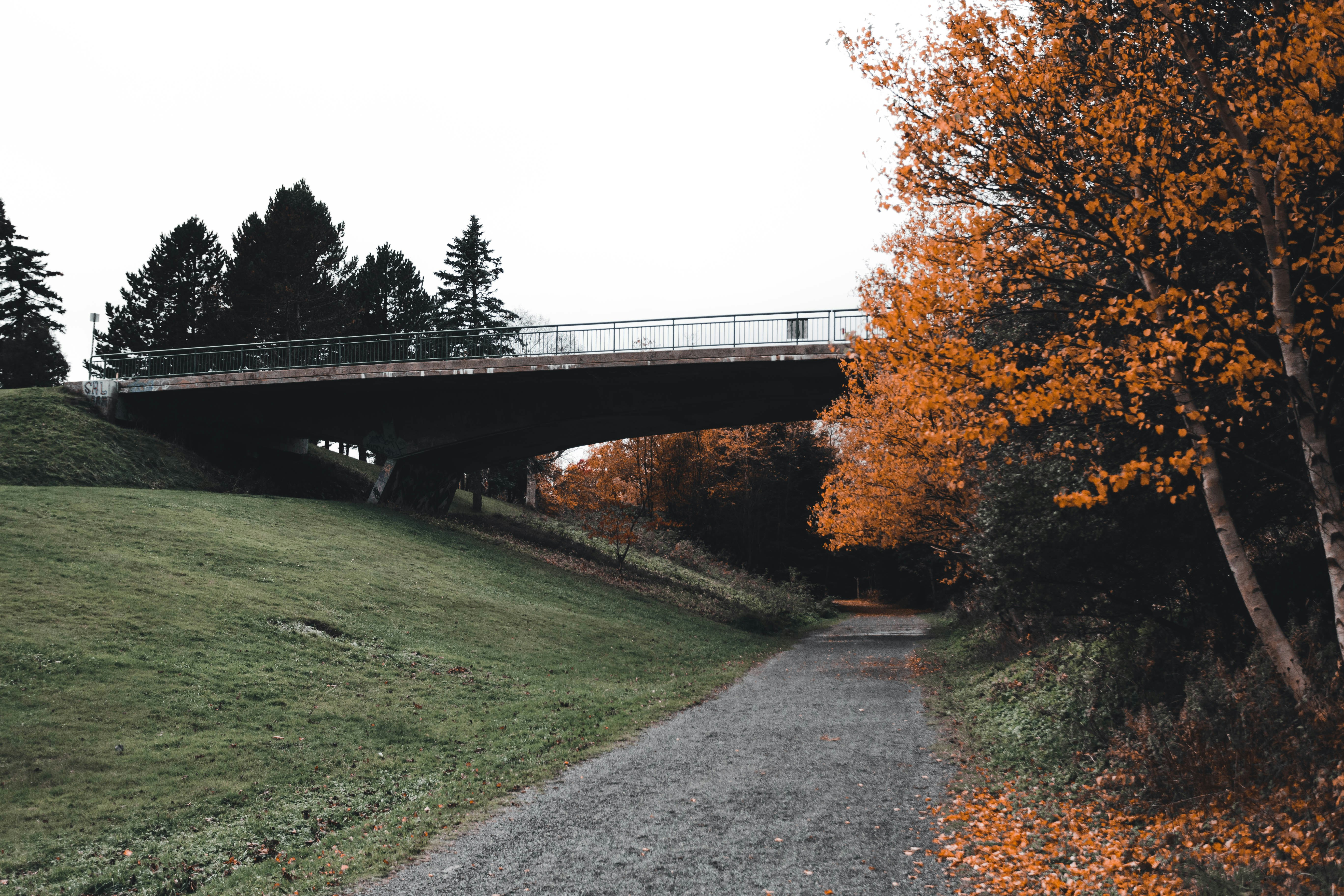 Photo by introspectivedsgn