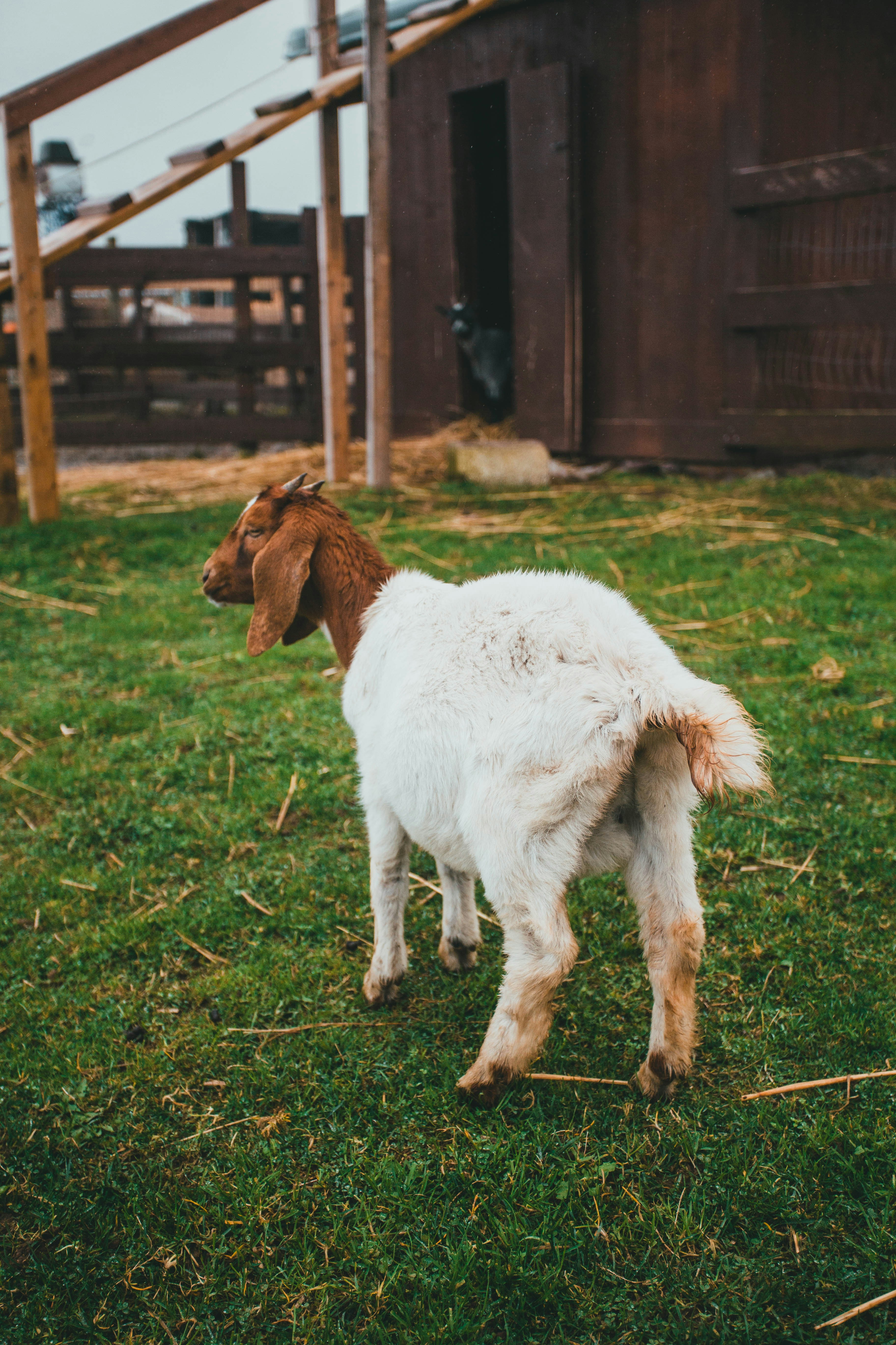 Photo by introspectivedsgn