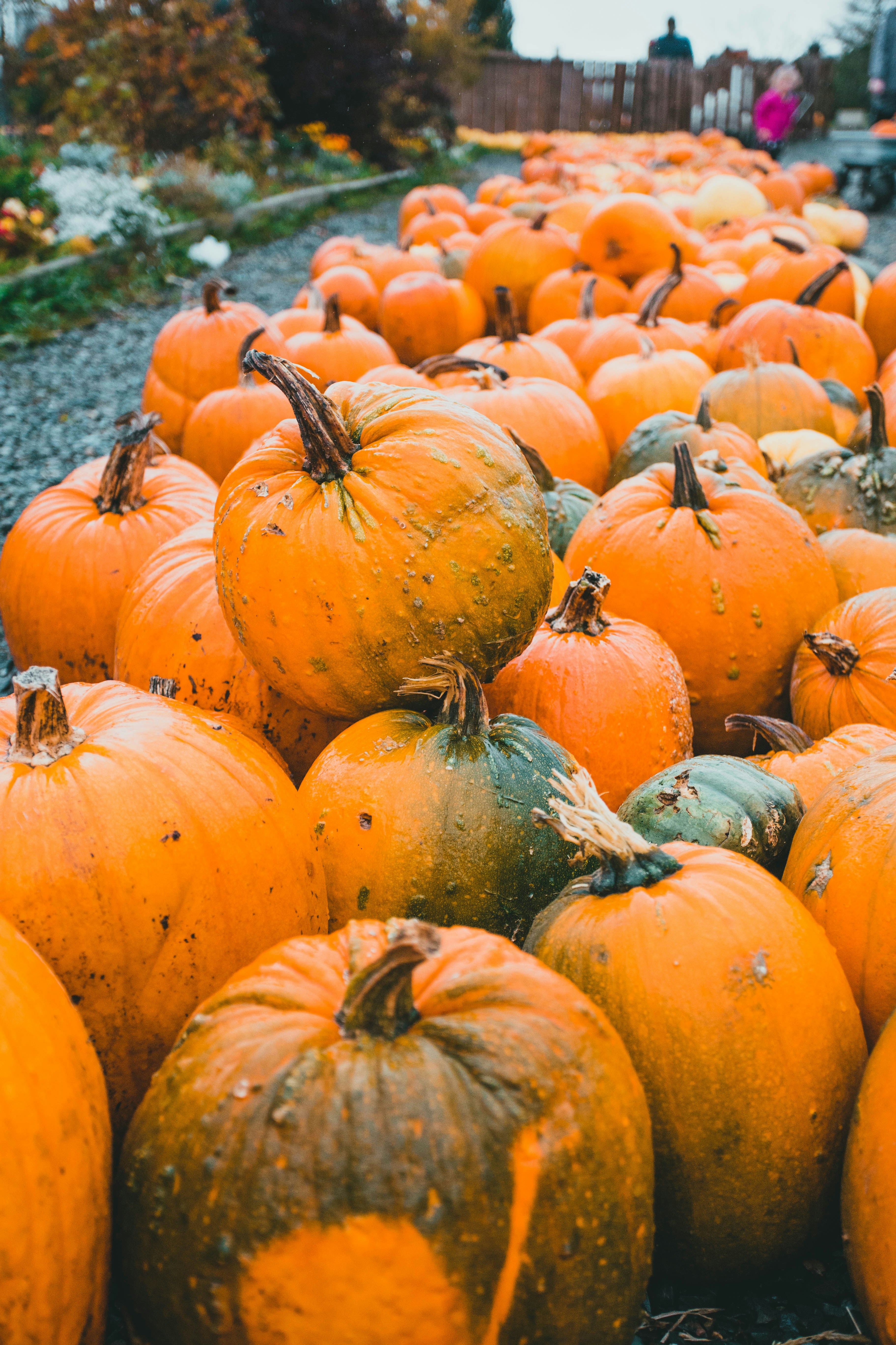 Photo by introspectivedsgn