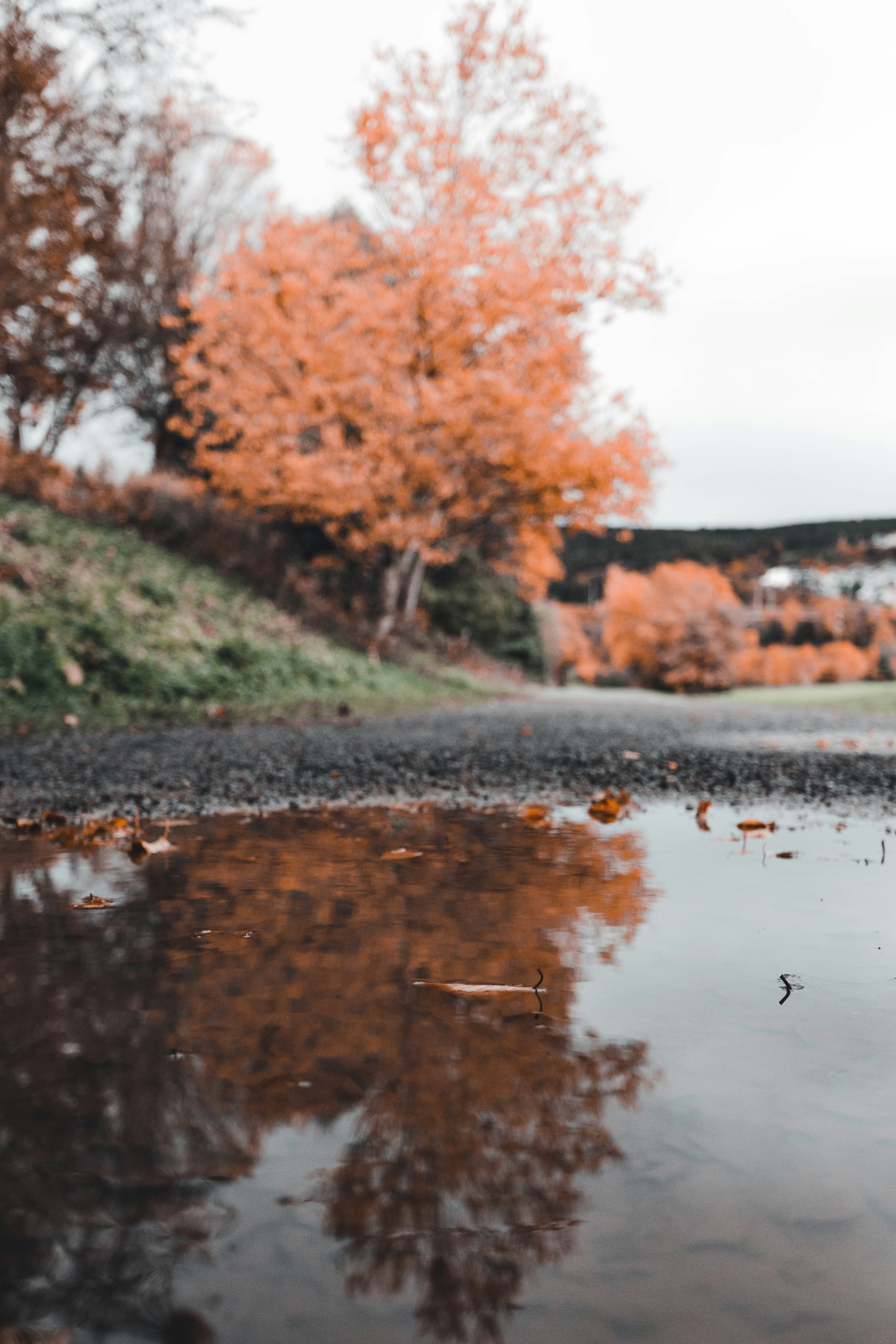 Photo by introspectivedsgn