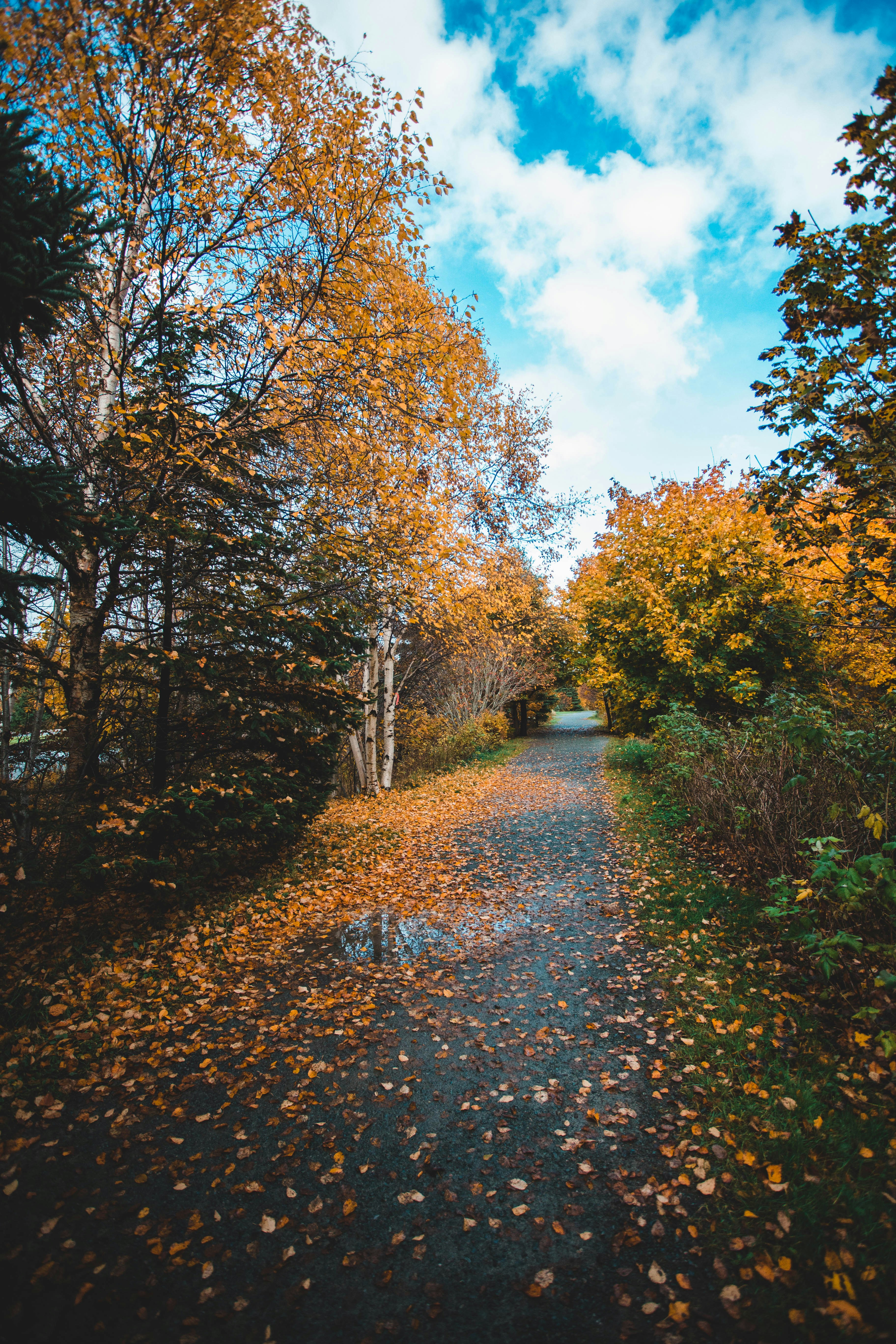 Photo by introspectivedsgn