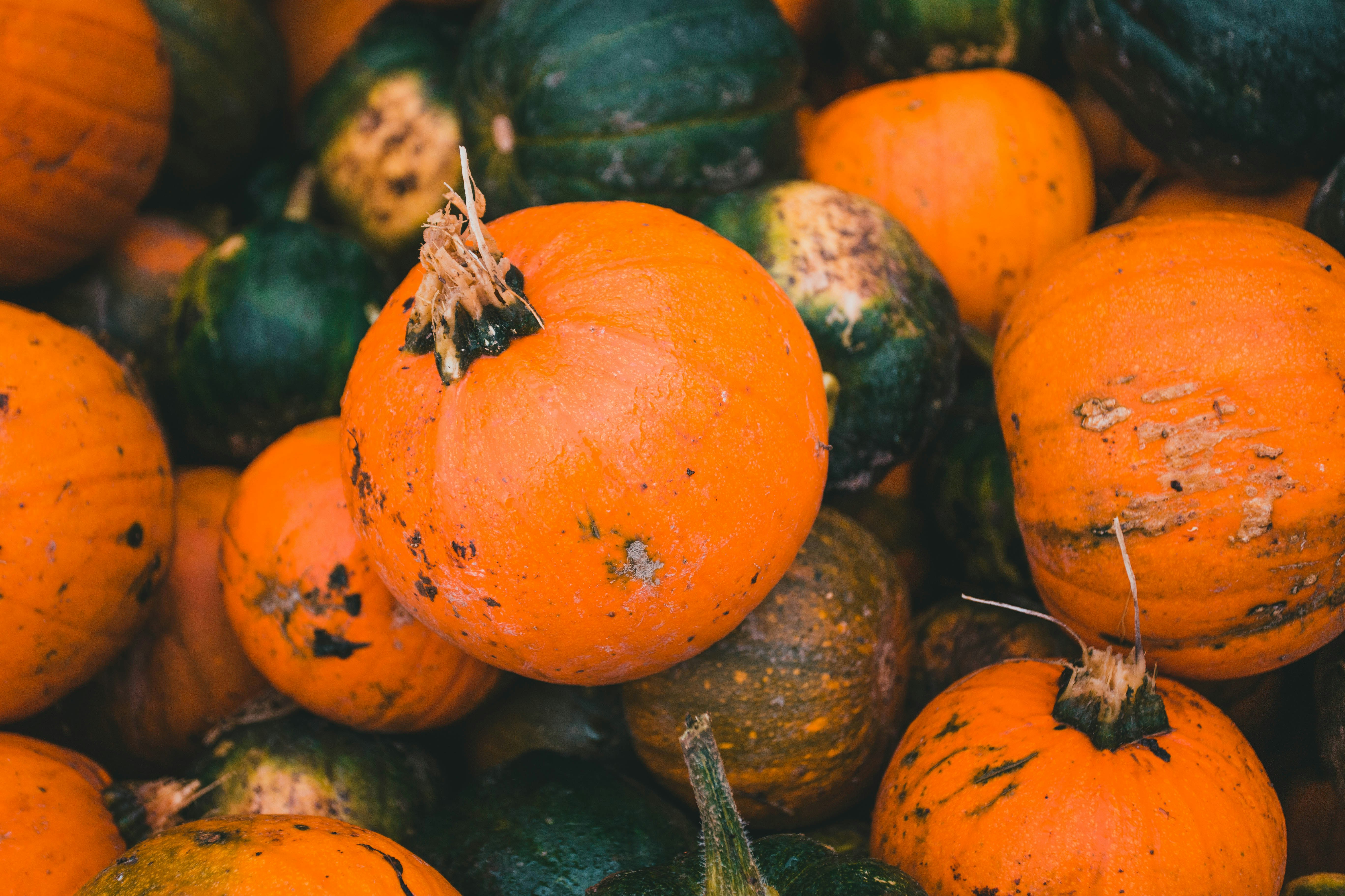 Photo by introspectivedsgn