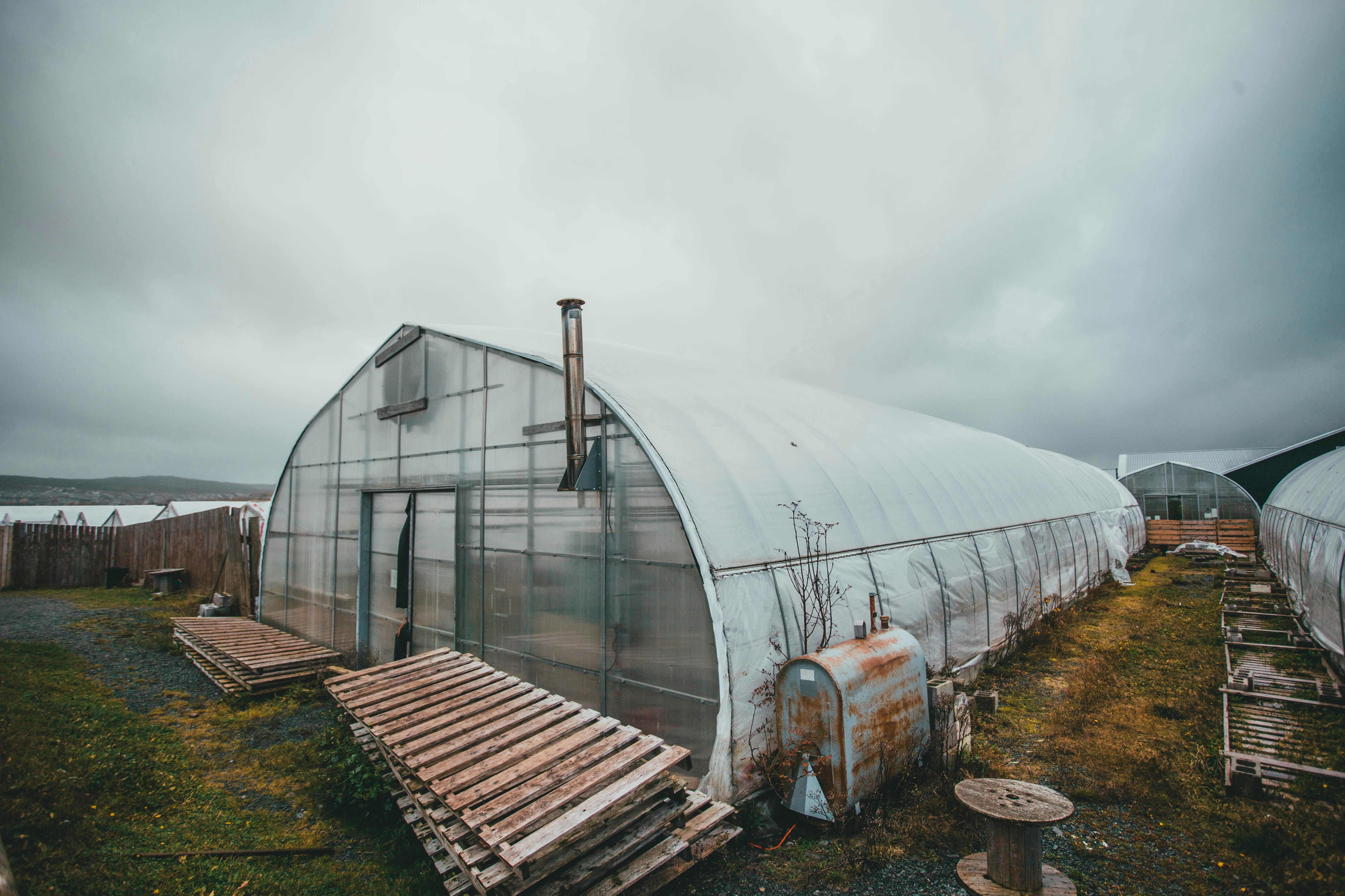 Successful polyhouse greenhouse with metal roof structure