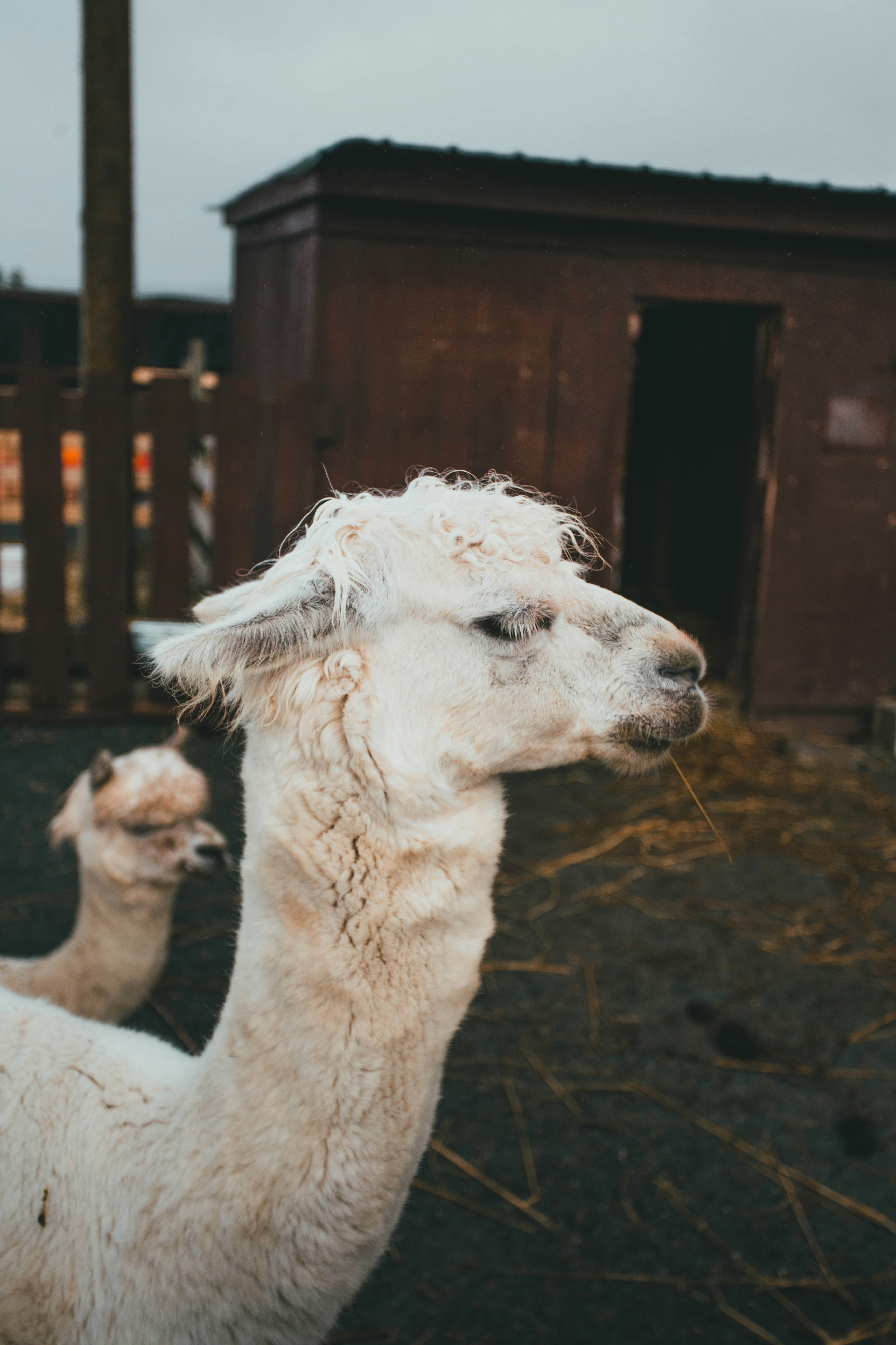 Photo by introspectivedsgn