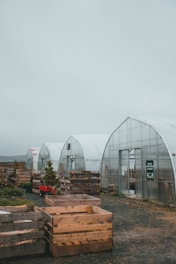 a group of greenhouses sitting next to each other
