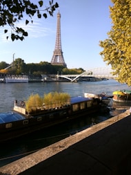 a boat with plants on the side of a river