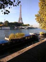 a boat with plants on the side of a river
