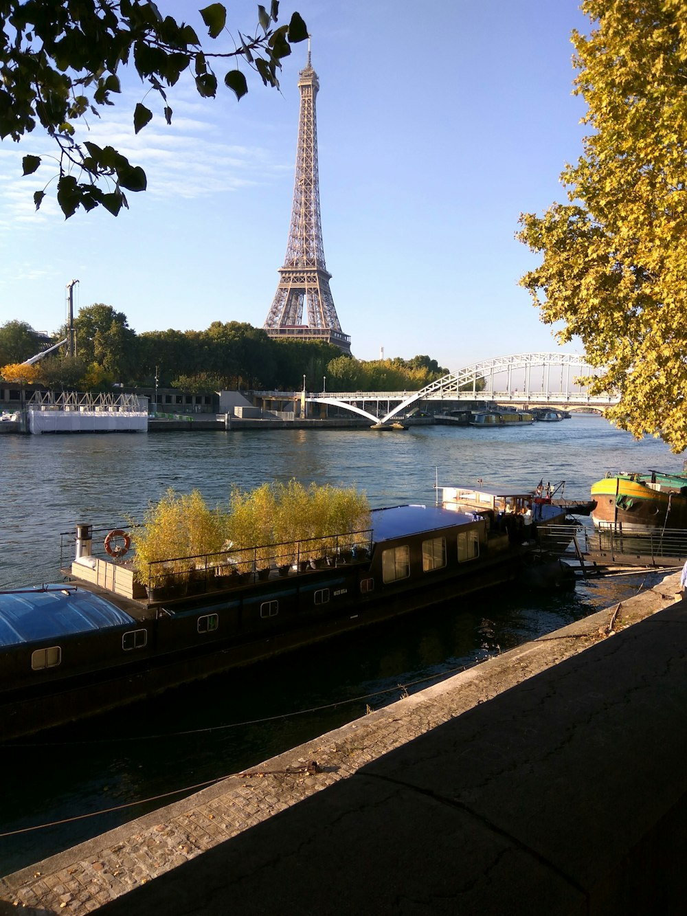 a boat with plants on the side of a river