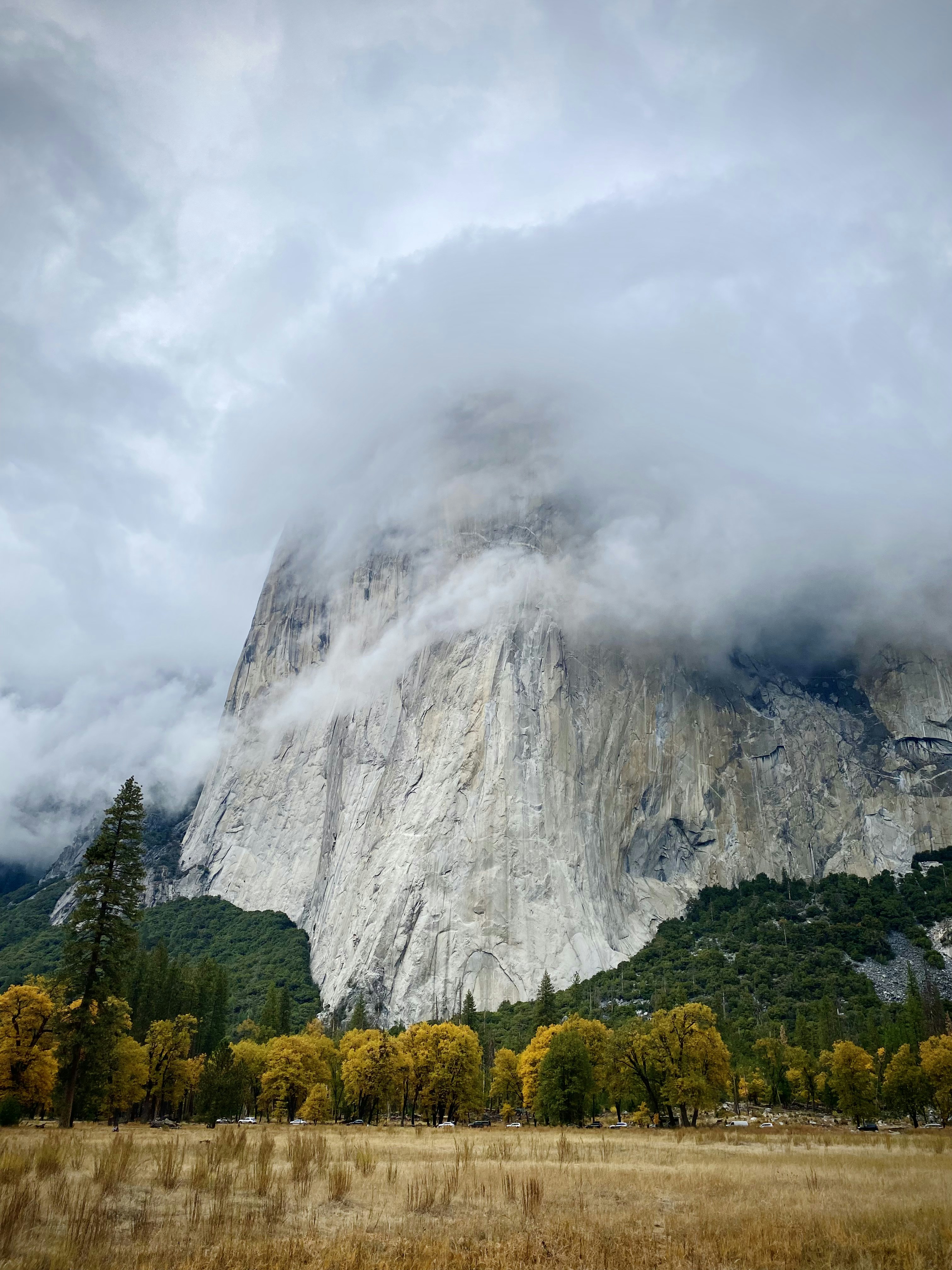 A very tall mountain covered in clouds and trees photo – Free Usa Image ...