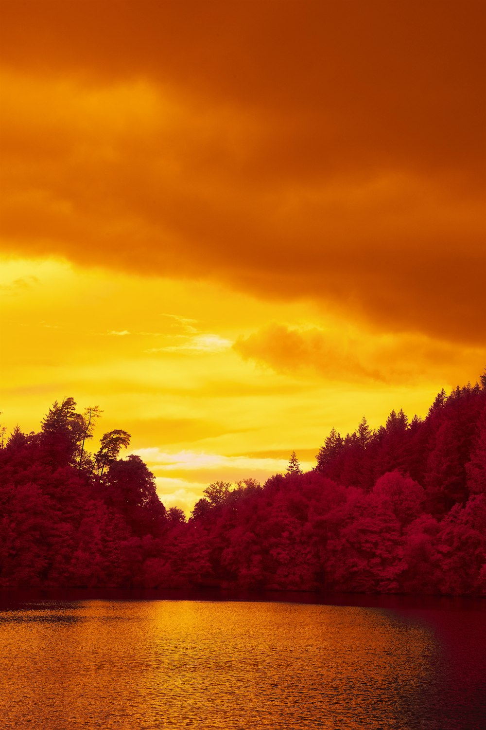 a body of water surrounded by trees under a cloudy sky