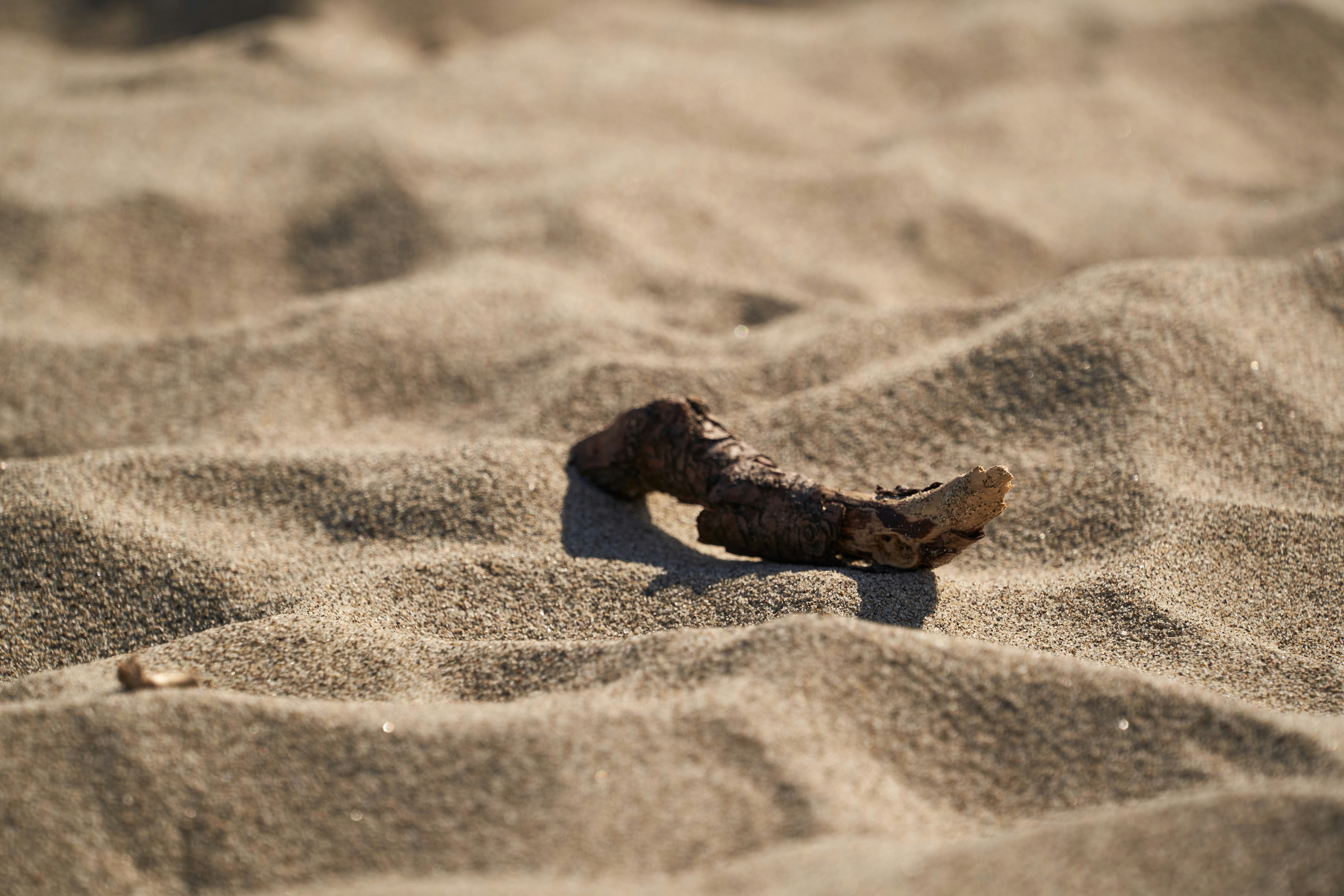 Photo by wolfgang_hasselmann