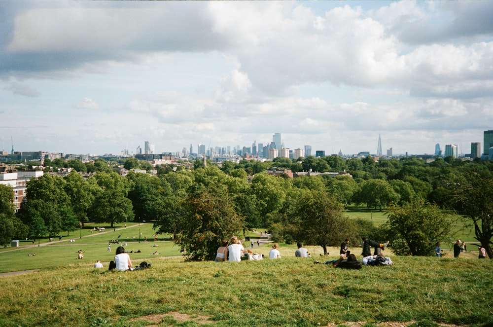 a group of people sitting on top of a lush green field