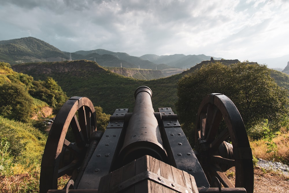 a large cannon sitting on top of a lush green hillside