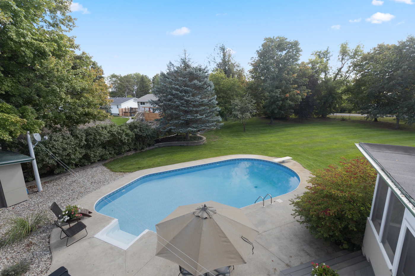 Curved residential swimming pool in a large green backyard