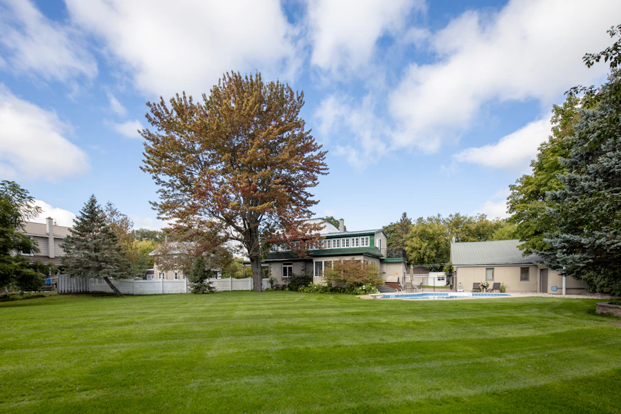 Large green backyard with a pool and family home