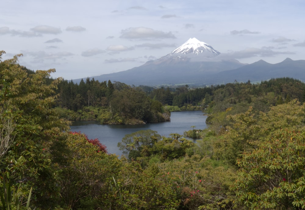 a lake surrounded by trees with a snow capped mountain in the background