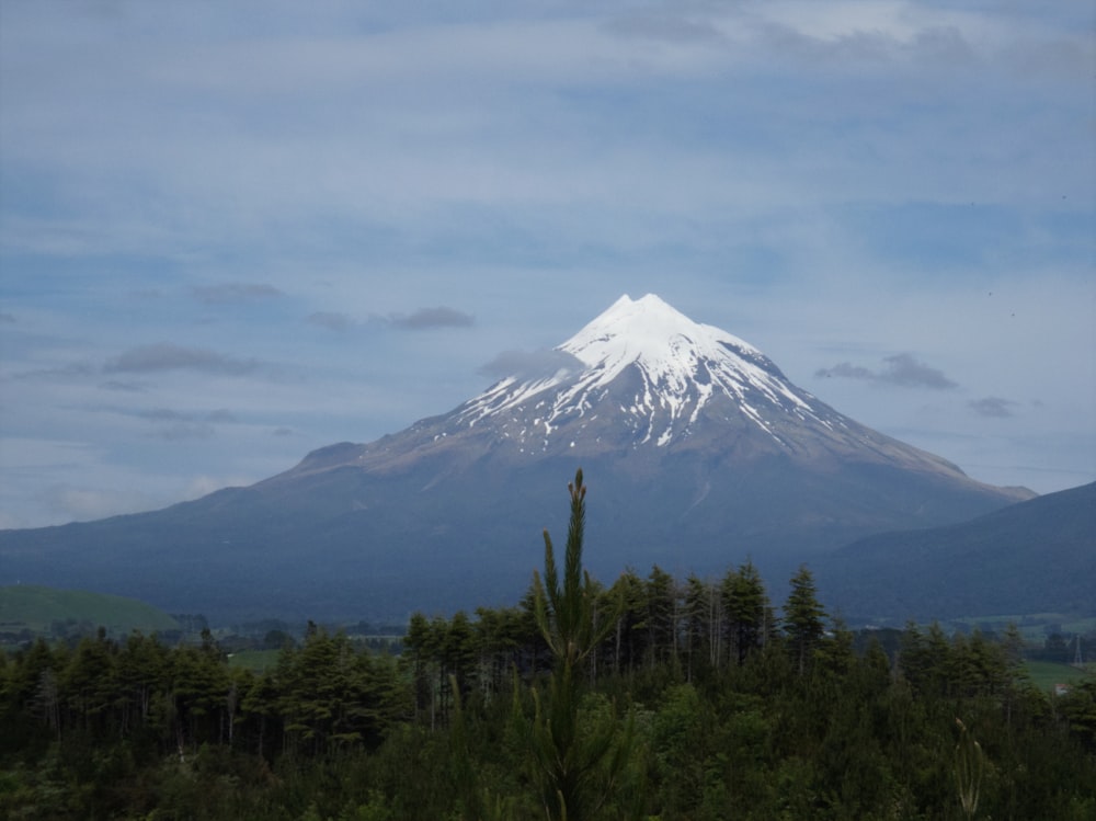 a snow covered mountain in the distance with trees in the foreground