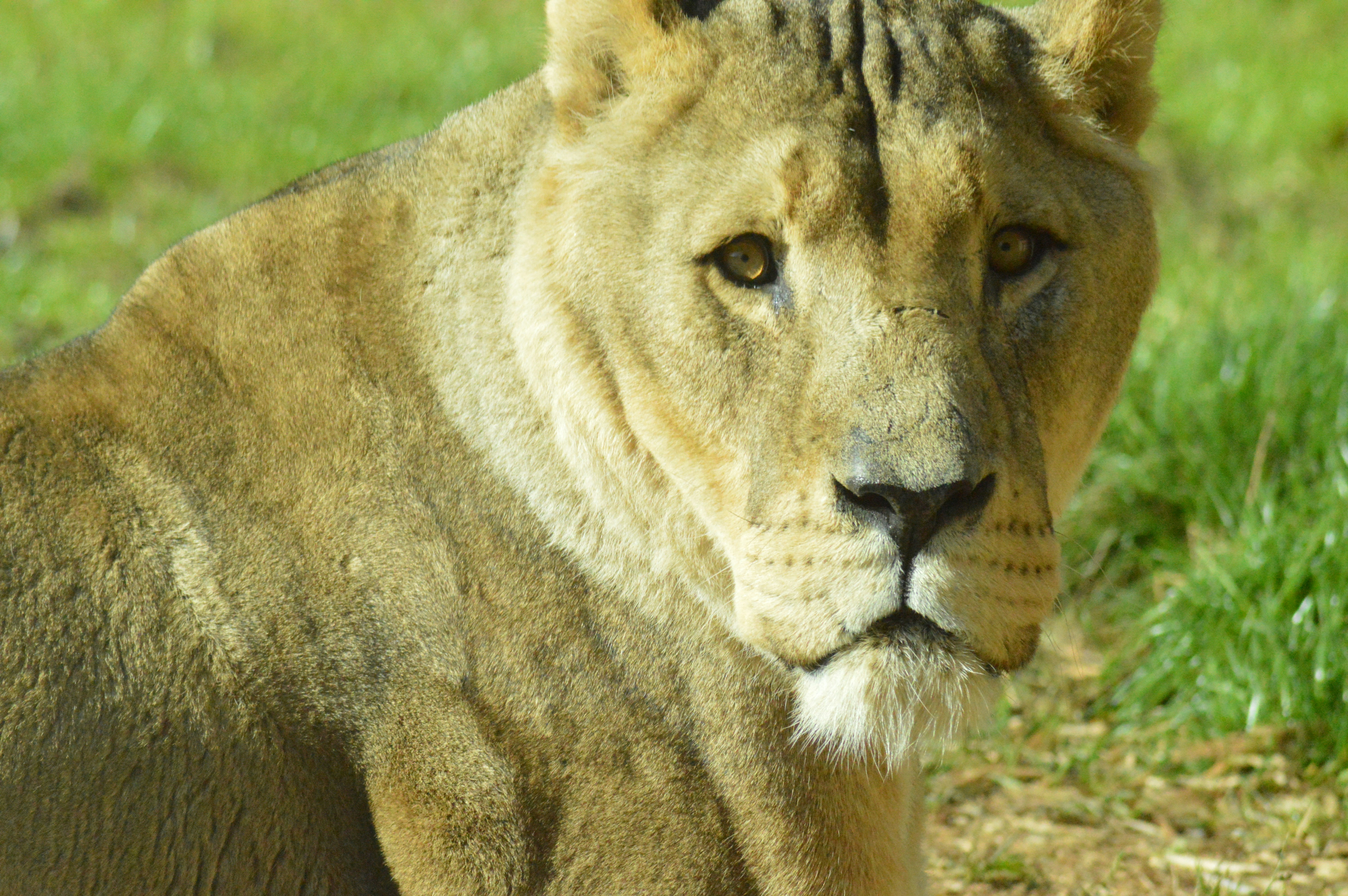 Photo by abba_argaman