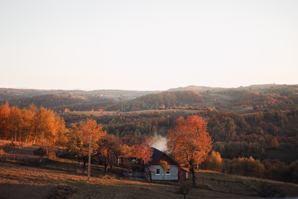 a house on a hill surrounded by trees