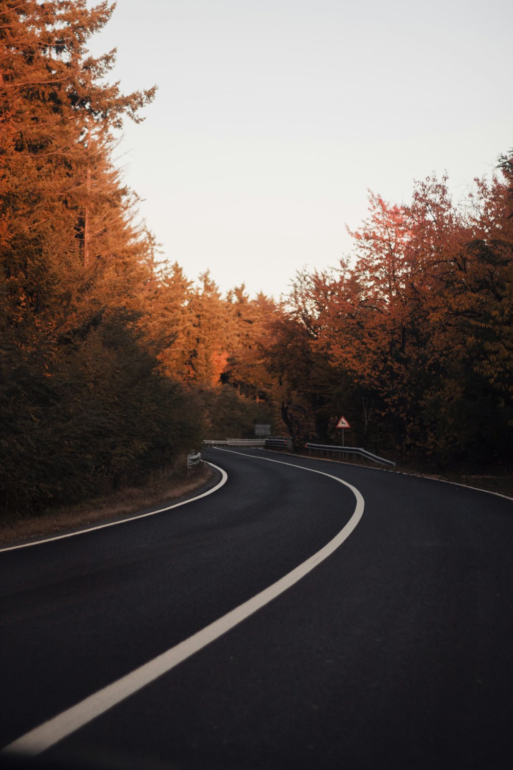 a curve in the road surrounded by trees