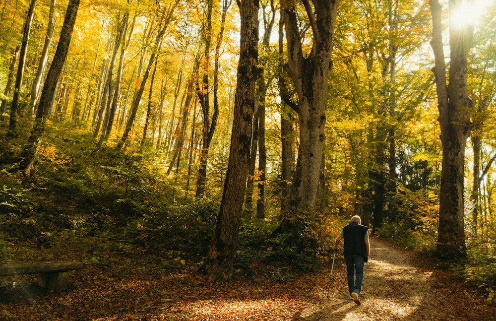 a person walking down a path in the woods