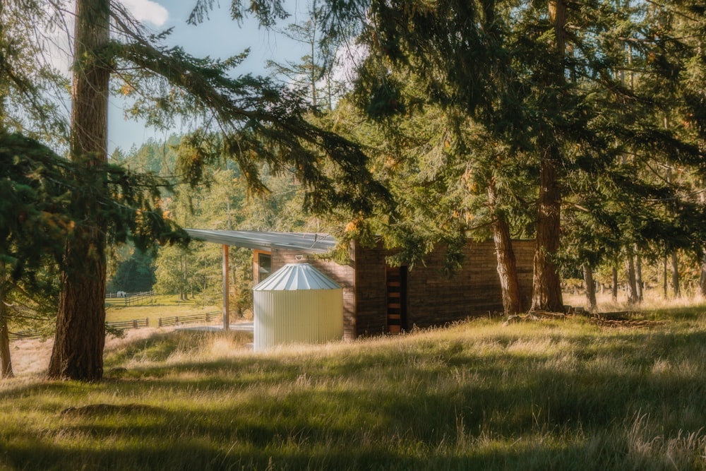 a small building in the middle of a forest