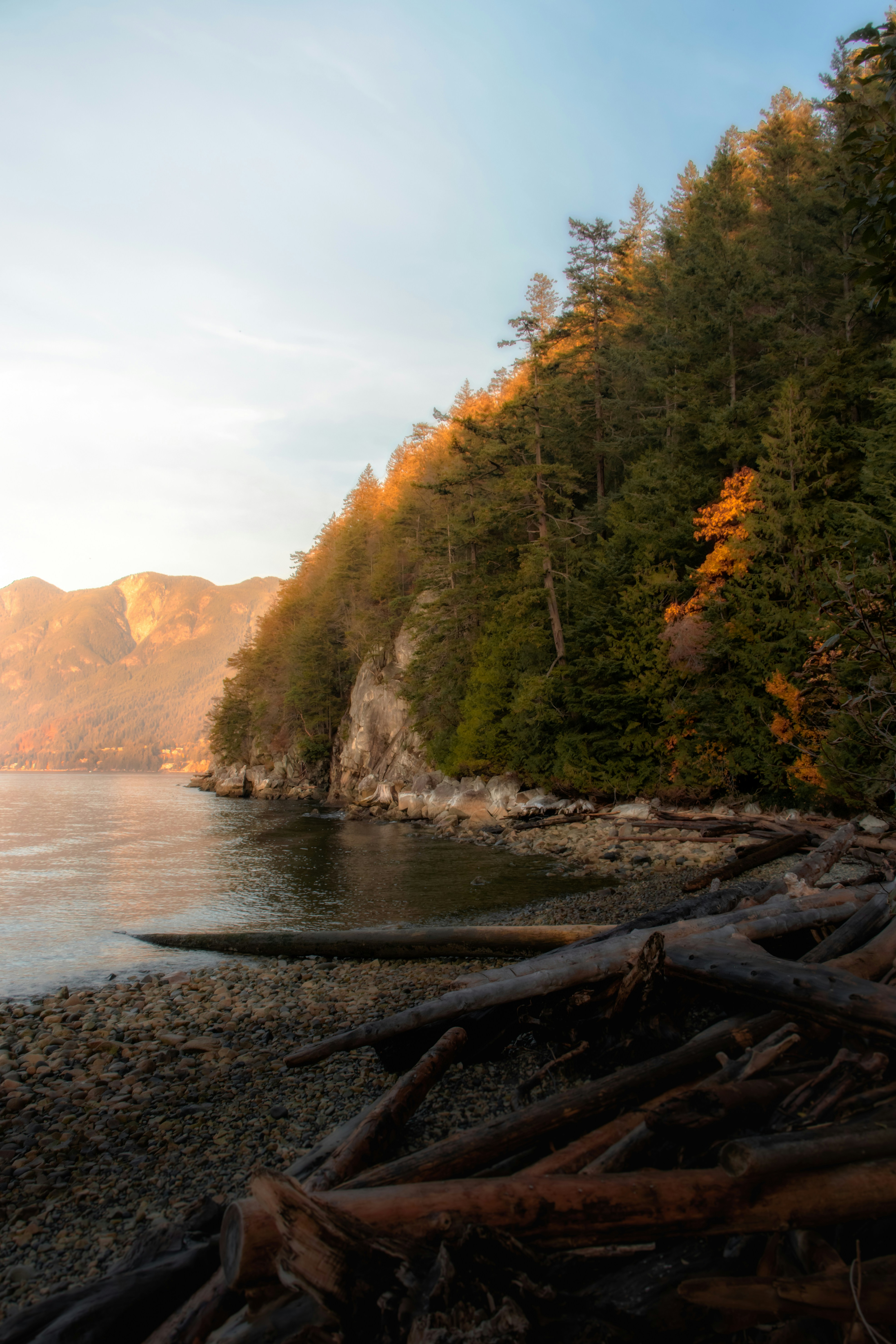 Una vista de un lago rodeado de árboles