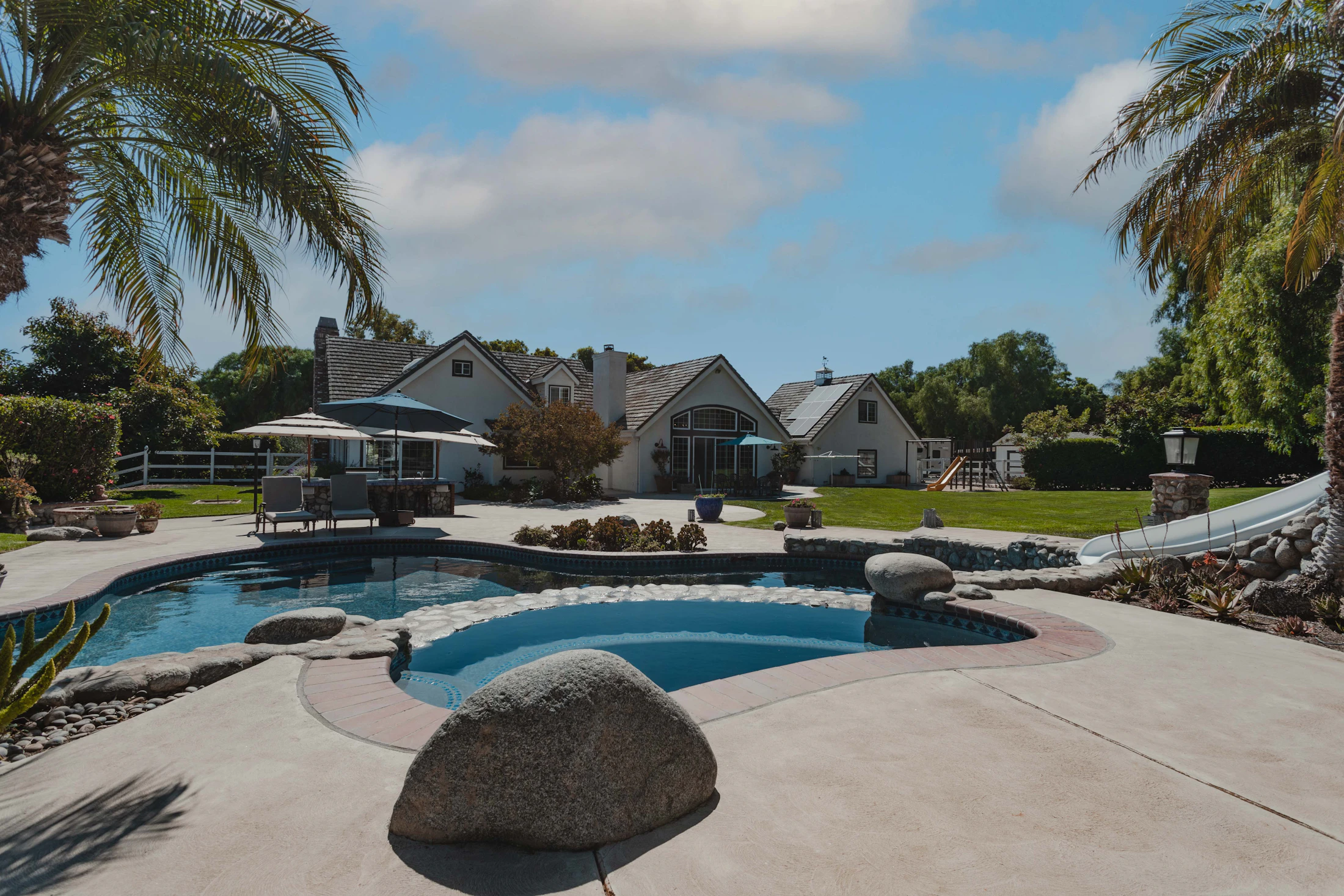Desert backyard pool with palm landscaping