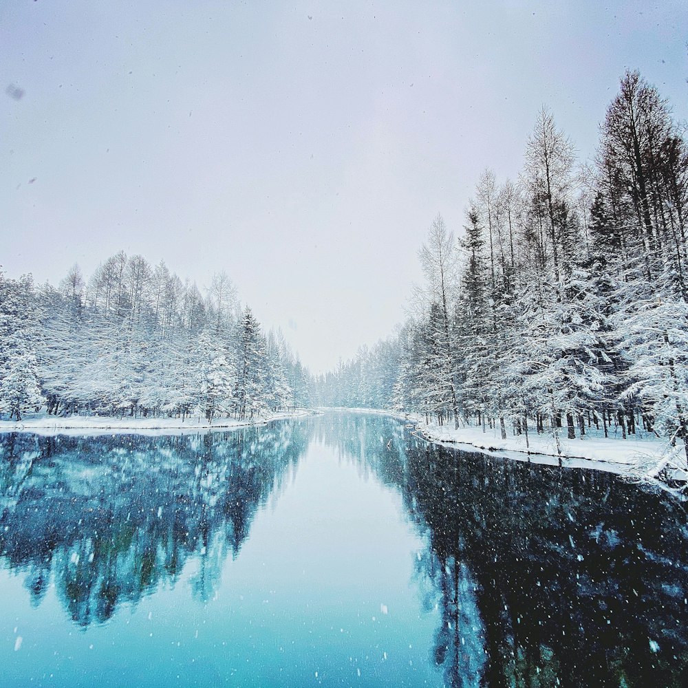 a river surrounded by trees covered in snow