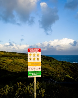 A warning sign stands prominently in the foreground, set against a backdrop of lush greenery and an expansive ocean view. The sky above is filled with fluffy, scattered clouds, illuminated by soft, ambient light. The sign contains warnings about the area, possibly indicating natural hazards.