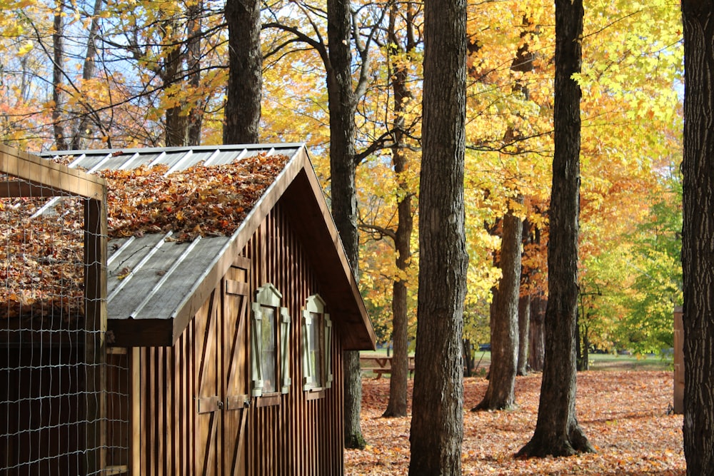 um pequeno edifício de madeira no meio de uma floresta