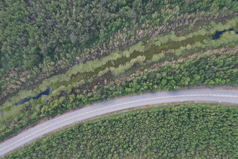 an aerial view of a road in the middle of a forest