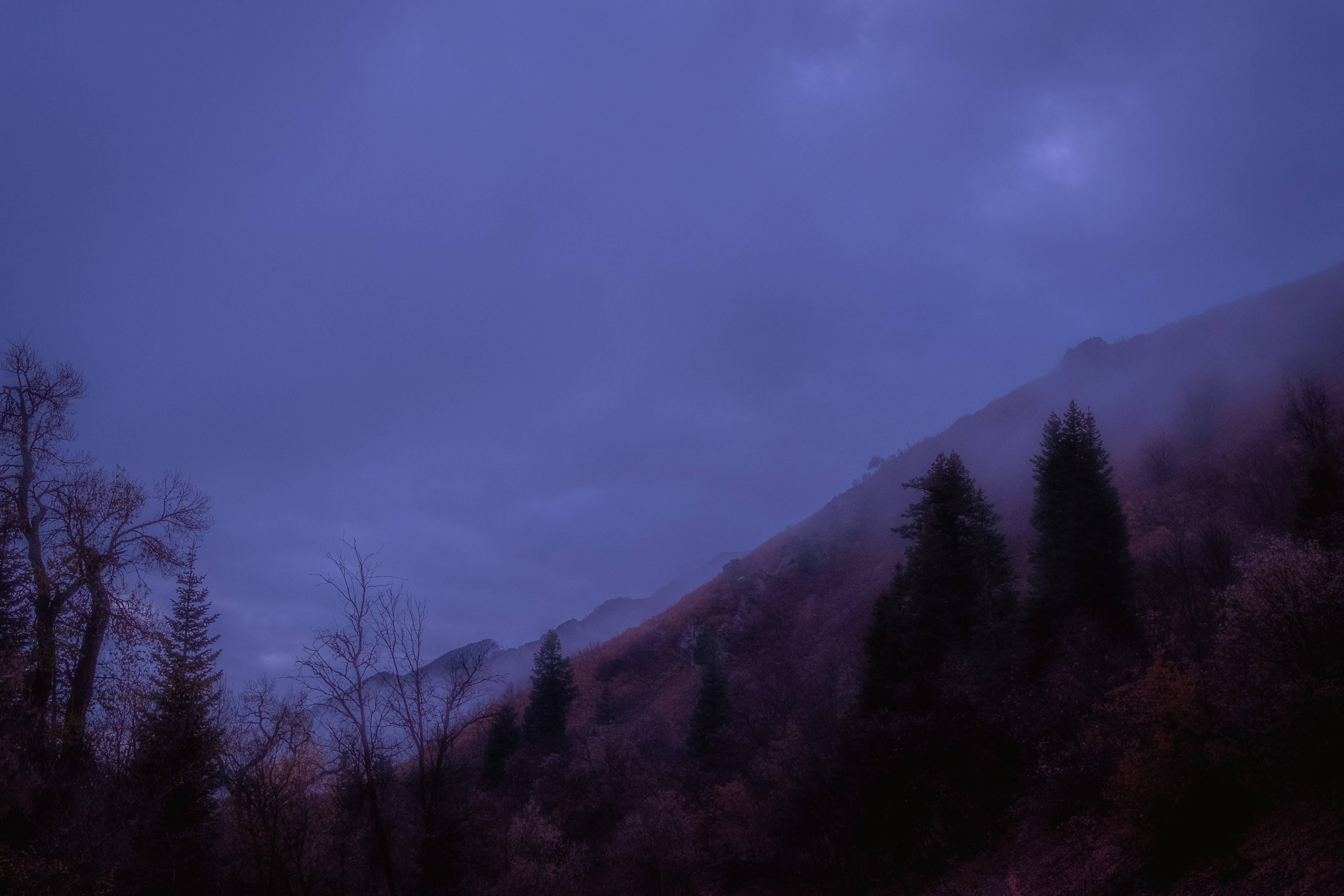 a mountain covered in trees under a cloudy sky