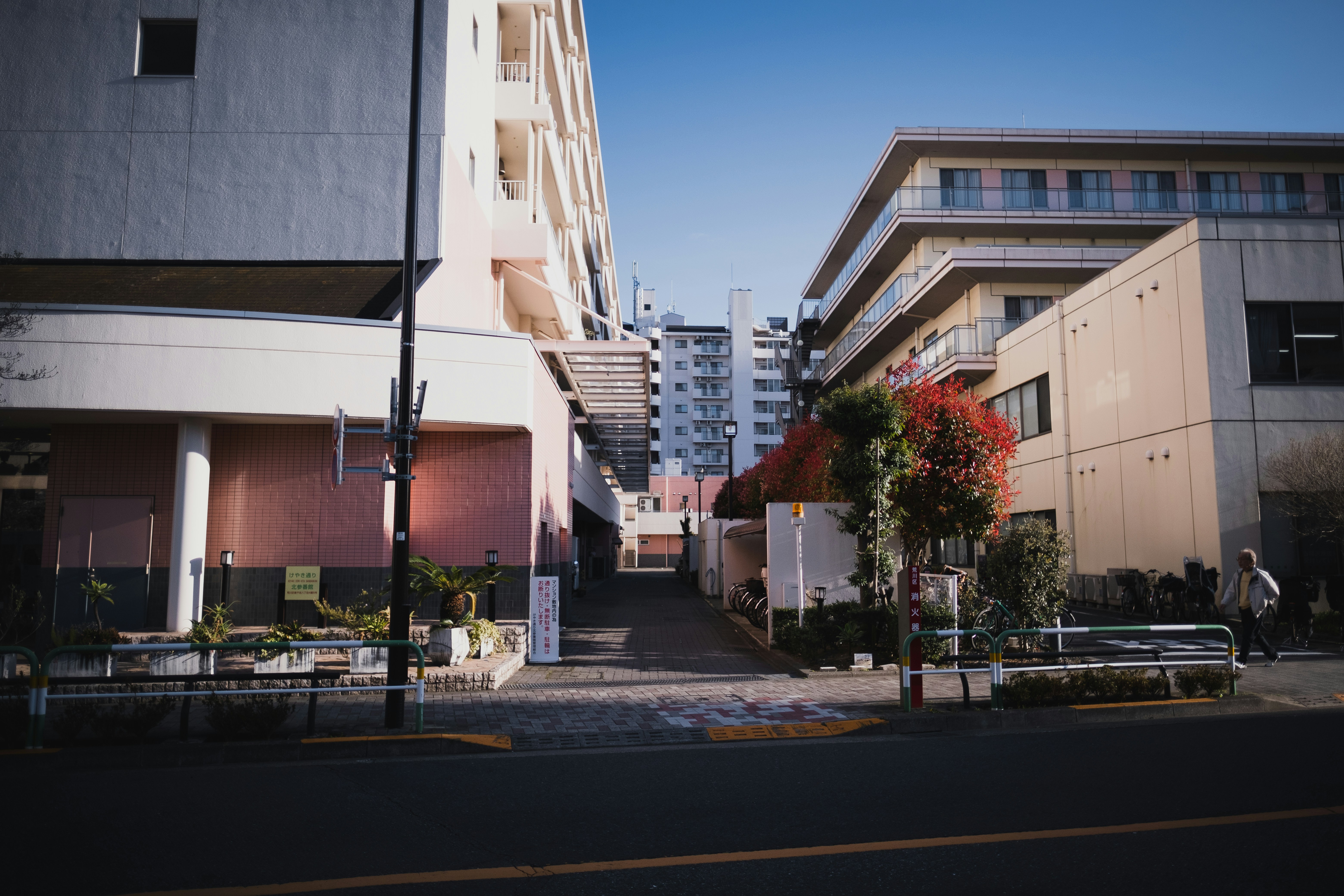 Photo by levimeirclancy