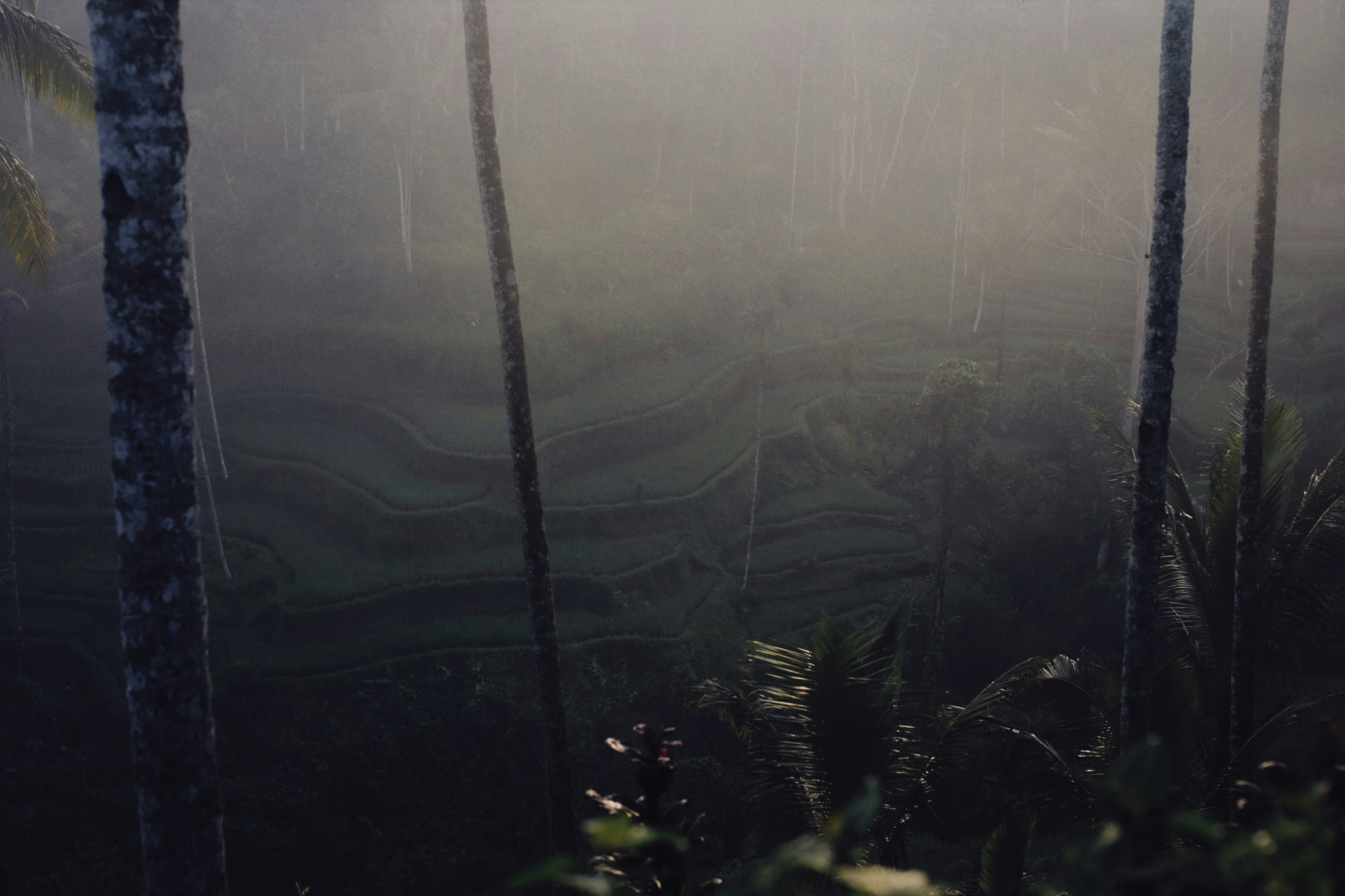 Photo by alexeydemidov