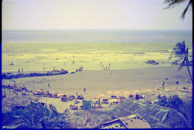 A coastal scene with a sandy beach filled with people engaging in various activities. There are numerous colorful umbrellas and beach chairs, suggesting a recreational and leisurely atmosphere. The ocean stretches into the horizon, and lush vegetation such as palm trees and greenery frame the foreground.