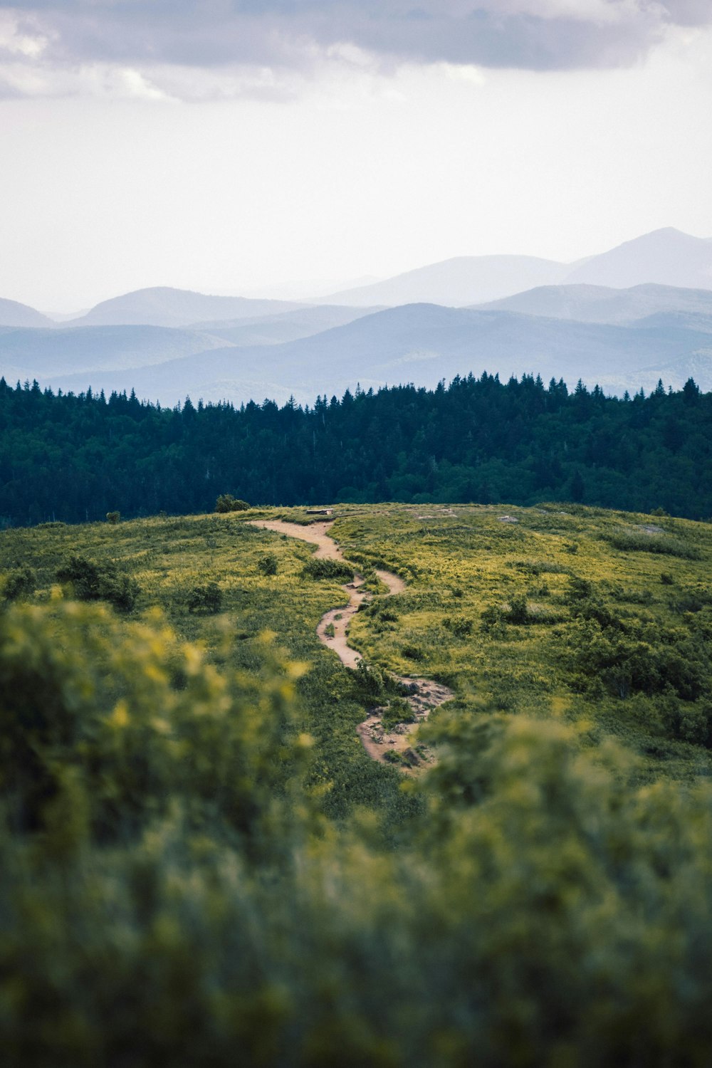 a dirt road going through a lush green field