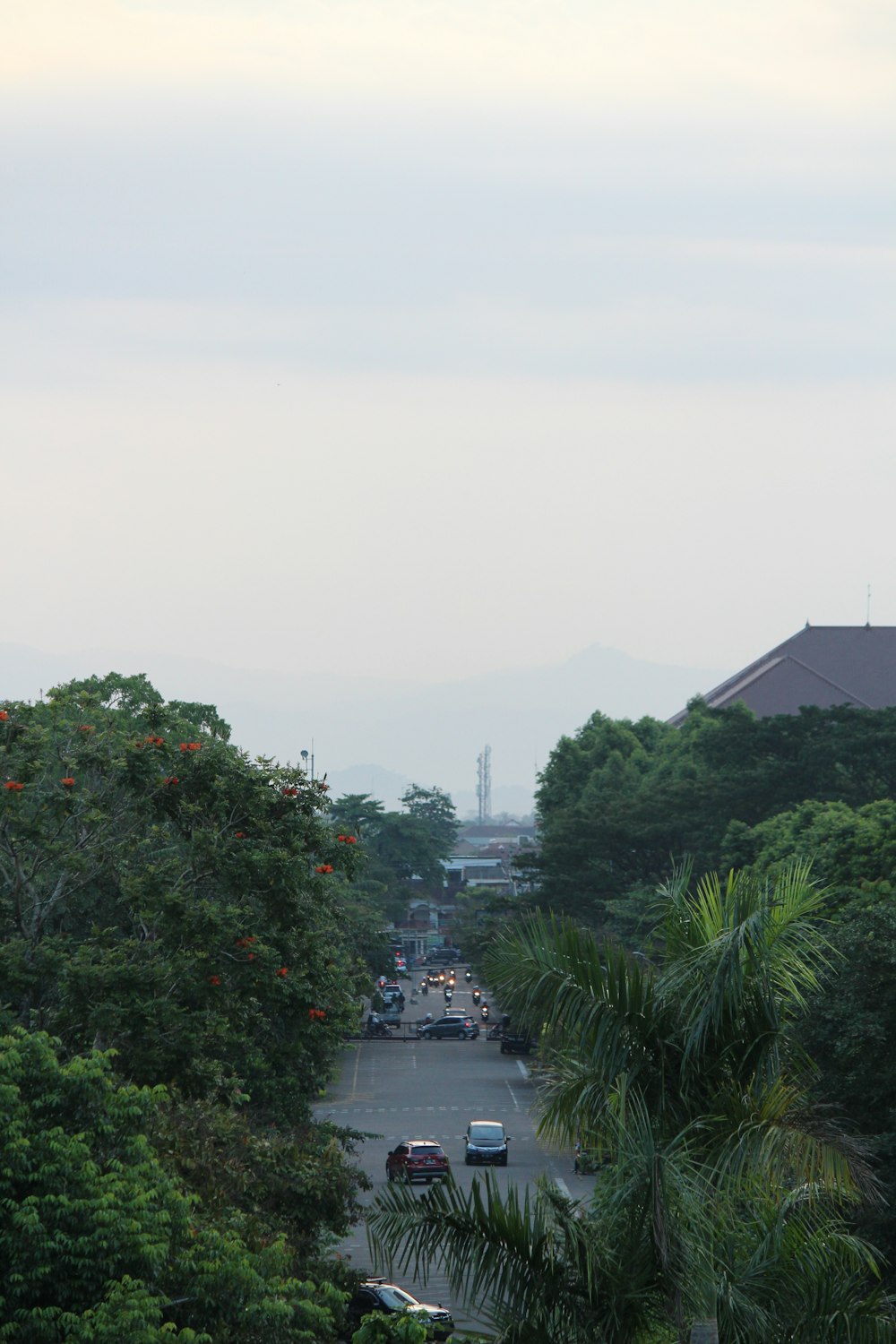 a view of a street with cars and trees