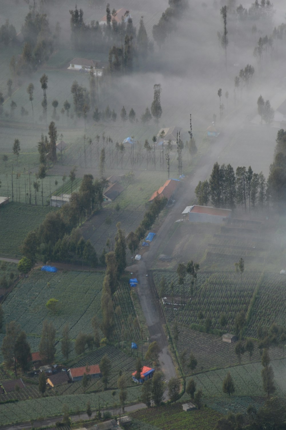 an aerial view of a rural area in the fog