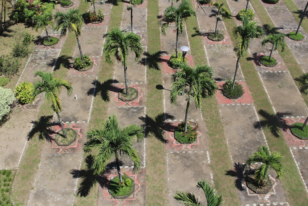 an aerial view of a park with palm trees