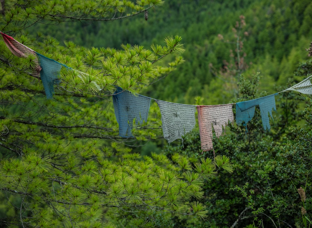 a group of clothes hanging from a line in a forest