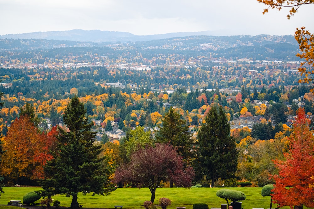 a scenic view of a city with trees in the foreground