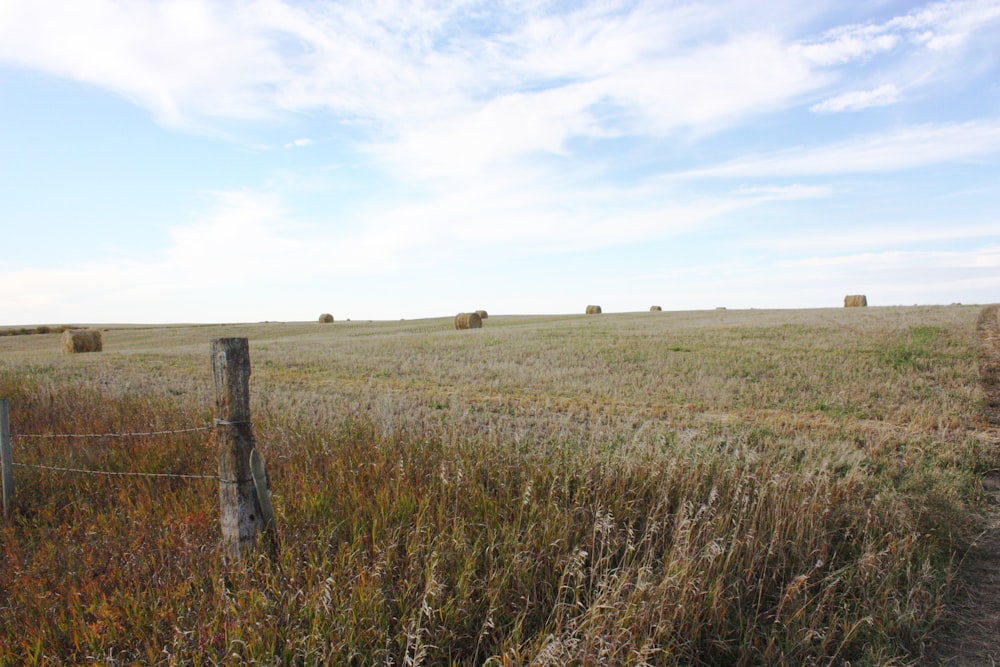 a field with hay bales in the distance