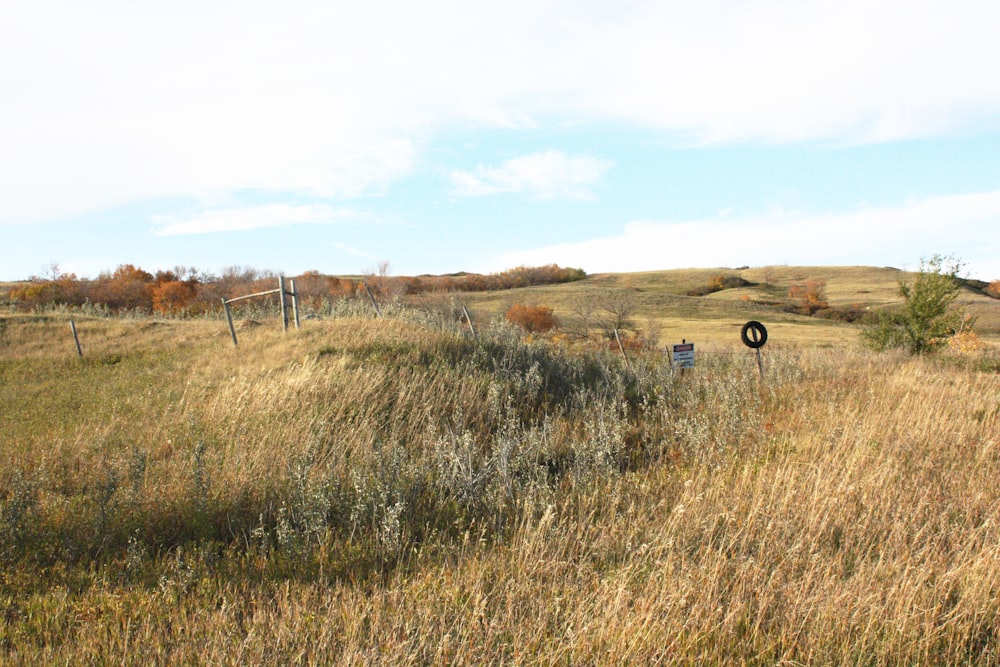 a grassy field with a sign in the middle of it