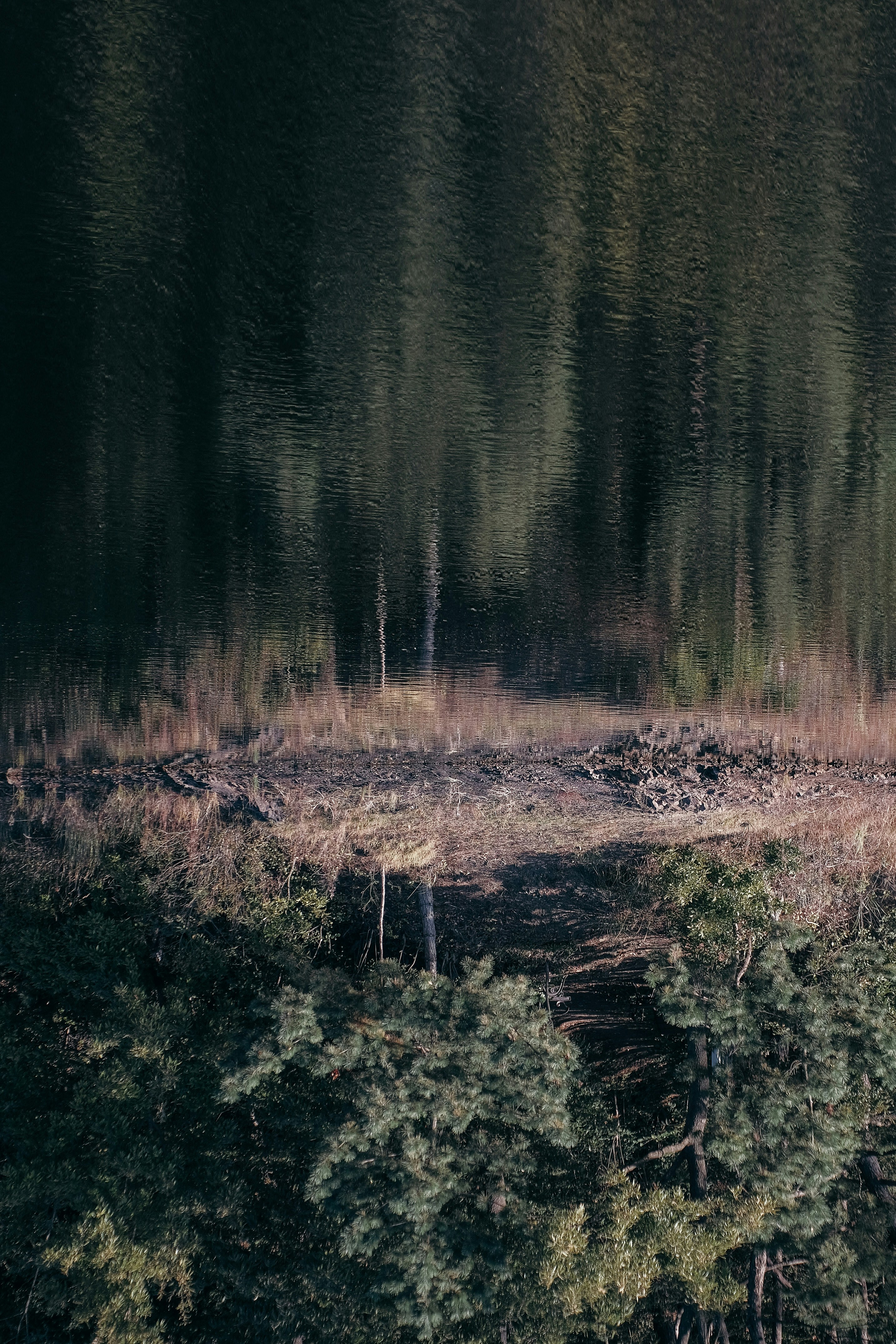 Photo by insungpandora