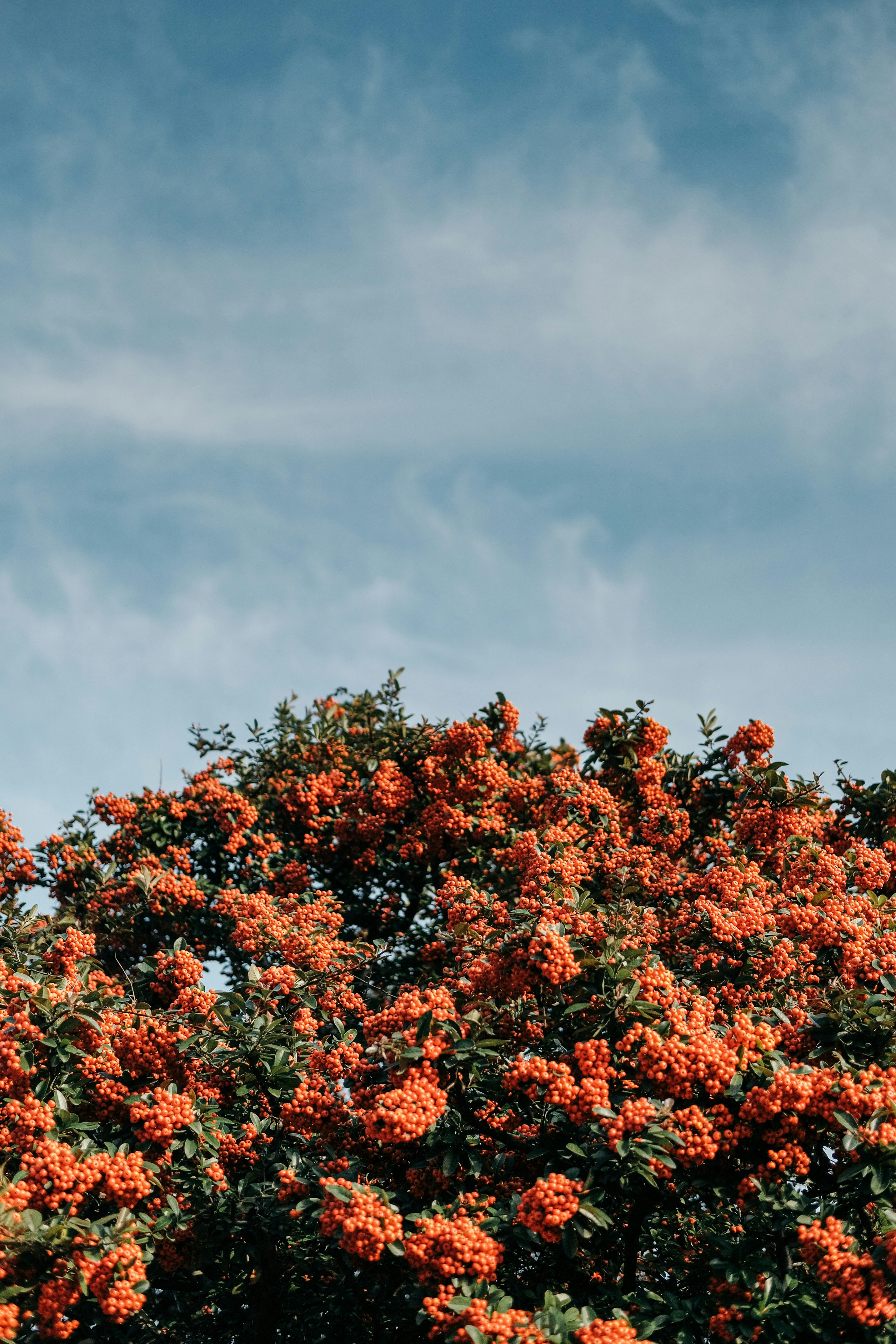 Photo by insungpandora